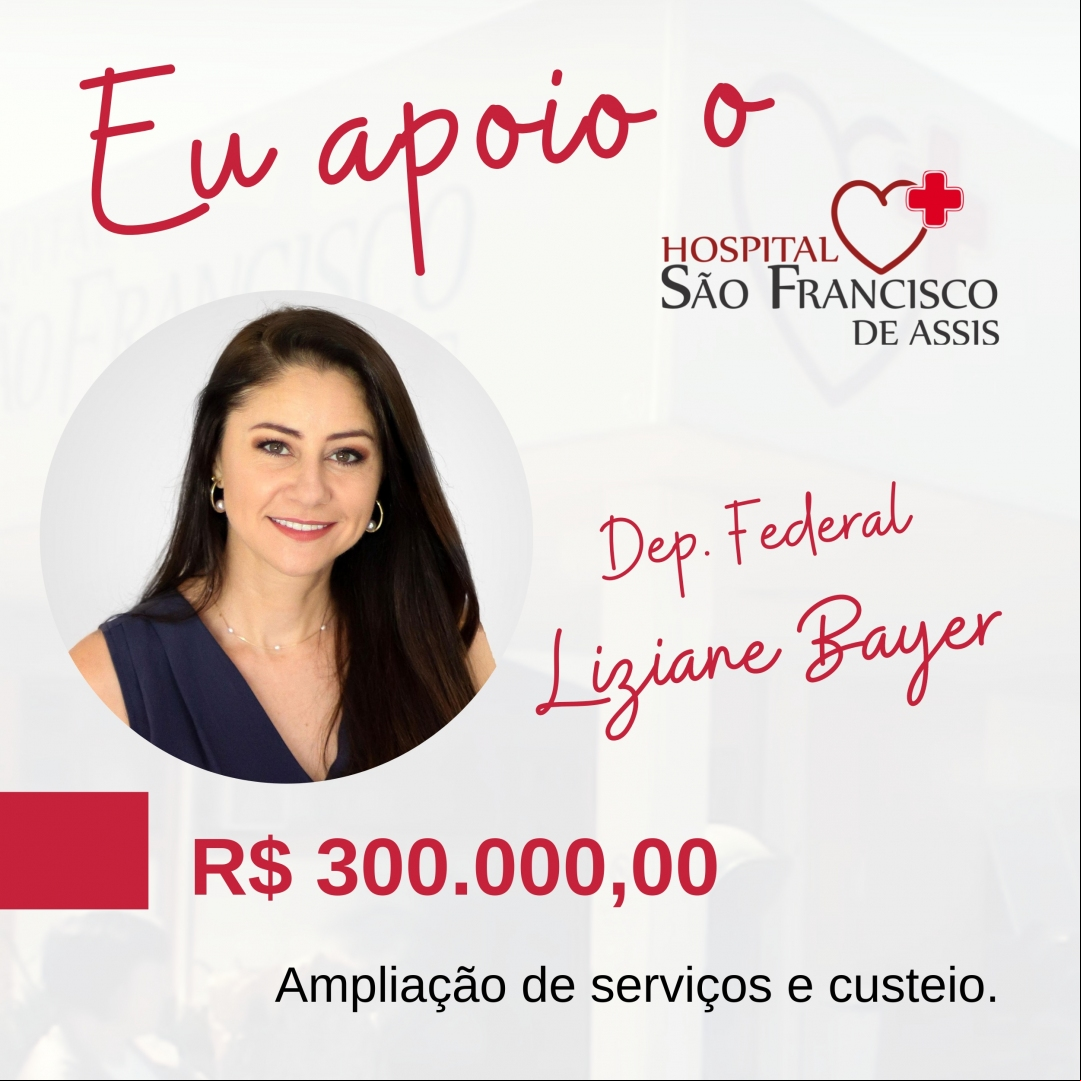 Dep. Federal Liziane Bayer