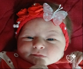 Livia
