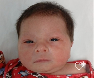 Anthony Gean Araújo