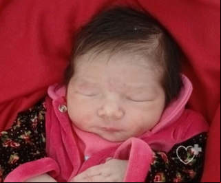 Hester Silva da Rosa