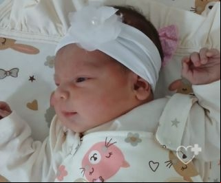 Manuela Vitoria Brizola Borges