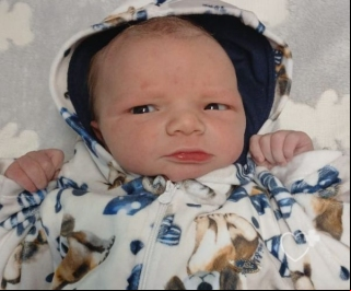 Lucas Pichetti Hartz